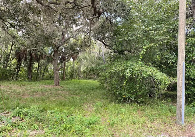 Homes for sale in Lake Panasoffkee, FL | Cr 448c, Lake Panasoffkee, FL 33538 | MLS# G5084429