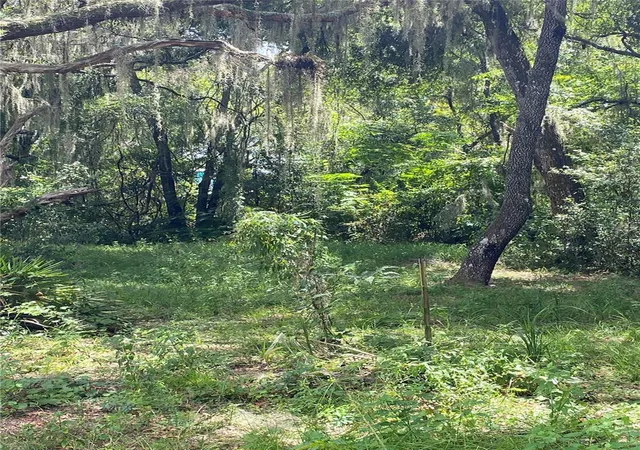 Homes for sale in Lake Panasoffkee, FL | Cr 448C, Lake Panasoffkee, FL 33538 | MLS# G5084429