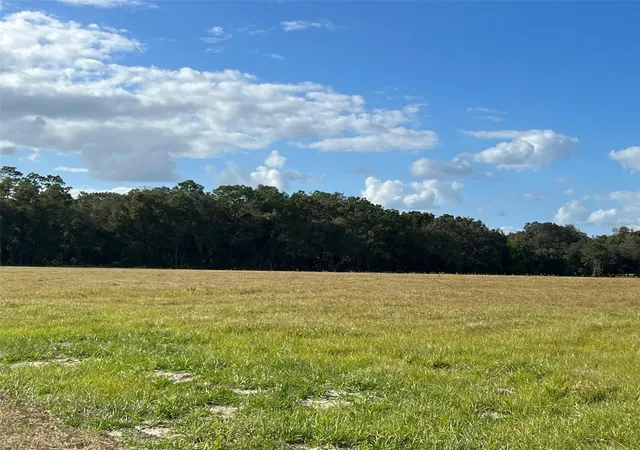 1st image of Tbd Se 170 Ave Rd #Tract A, Ocklawaha, FL 32179 | MLS# OM682162