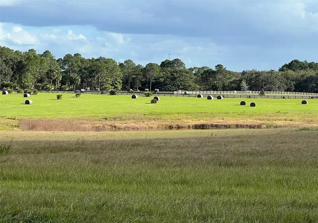 9th image of Tbd Se 170 Ave Rd #Tract A, Ocklawaha, FL 32179 | MLS# OM682162