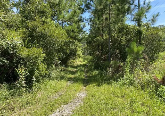 Photo 1 of Land for sale at 550 W River Rd, Palatka, FL 32177 | MLS# FC302505 | Listing updated on 2026-10-12