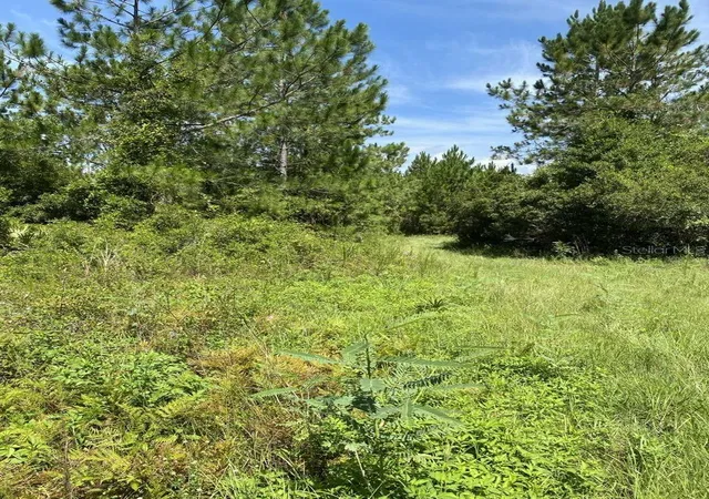 Photo 2 of Land for sale at 550 W River Rd, Palatka, FL 32177 | MLS# FC302505 | Listing updated on 2026-10-12