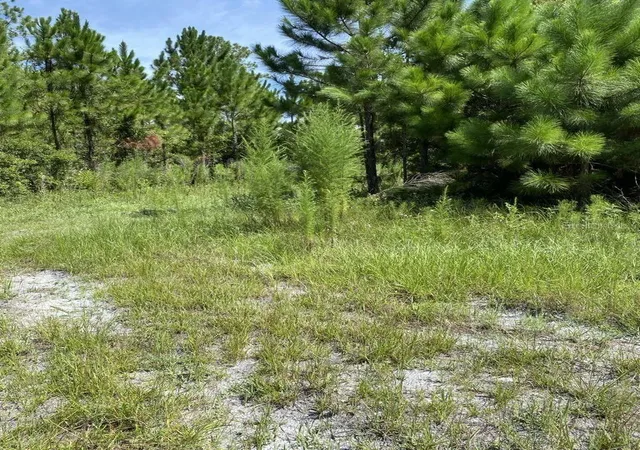 Photo 3 of Land for sale at 550 W River Rd, Palatka, FL 32177 | MLS# FC302505 | Listing updated on 2026-10-12