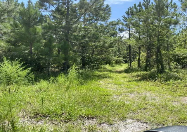 Photo 3 of Land for sale at 550 W River Rd, Palatka, FL 32177 | MLS# FC302505 | Listing updated on 2026-10-12