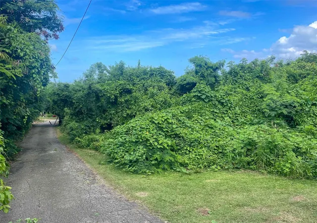Photo 3 of Land for sale at 30 Calle Alta, Vieques, PR 00765 | MLS# PR9107867 | Listing updated on 2025-12-19