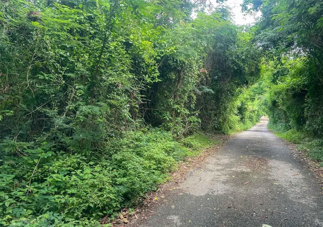 Photo 4 of Land for sale at 30 Calle Alta, Vieques, PR 00765 | MLS# PR9107867 | Listing updated on 2025-12-19