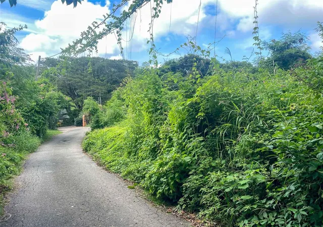 Photo 6 of Land for sale at 30 Calle Alta, Vieques, PR 00765 | MLS# PR9107867 | Listing updated on 2025-12-19