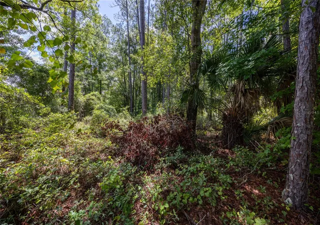 2nd image of 0 Se Hawthorne Rd, Hawthorne, FL 32640 | MLS# GC524086