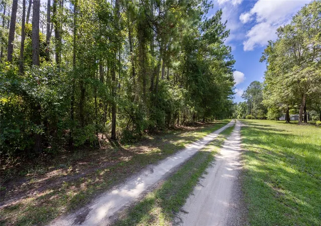 3rd image of 0 Se Hawthorne Rd, Hawthorne, FL 32640 | MLS# GC524086