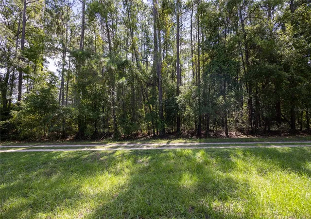 4th image of 0 Se Hawthorne Rd, Hawthorne, FL 32640 | MLS# GC524086