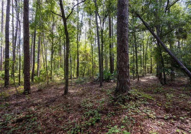 5th image of 0 Se Hawthorne Rd, Hawthorne, FL 32640 | MLS# GC524086