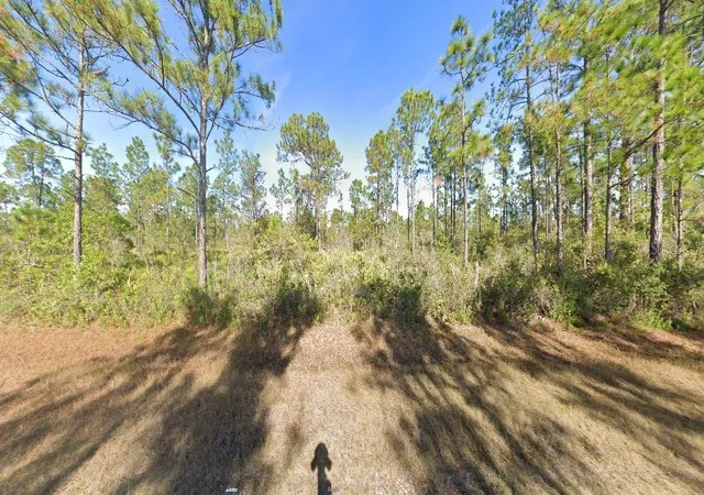Photo 2 of Land for sale at Calliandra Dr, Lake Wales, FL 33855 | MLS# O6229435 | Listing updated on 2026-07-01