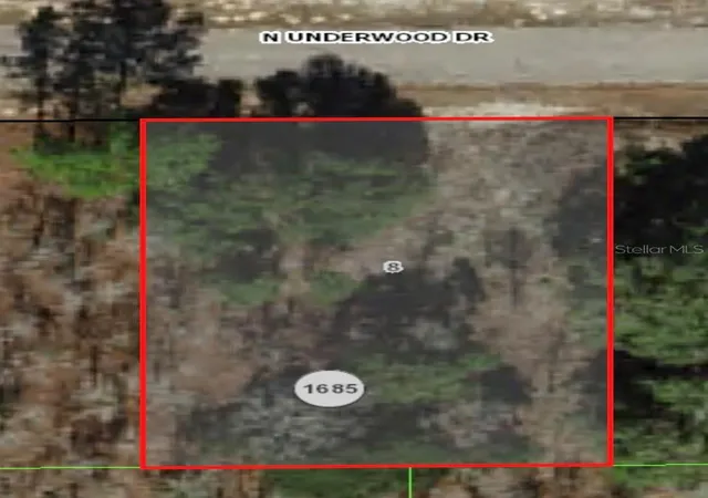2nd image of 6654 N Underwood Dr, Dunnellon, FL 34434 | MLS# A4619217