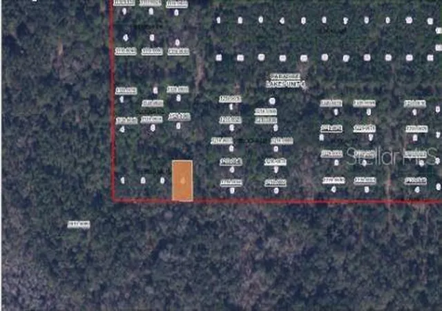 Photo 3 of Land for sale at Paradise Lakes Ave, Georgetown, FL 32139 | MLS# O6231634 | Listing updated on 2026-07-07