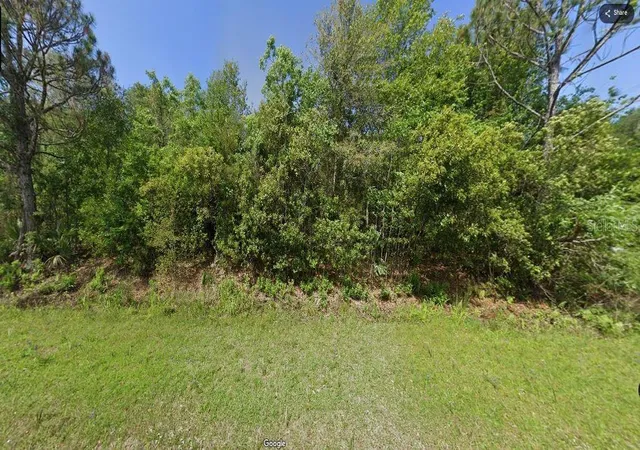 Homes for sale in Georgetown, FL | Paradise Lakes Ave, Georgetown, FL 32139 | MLS# O6231634