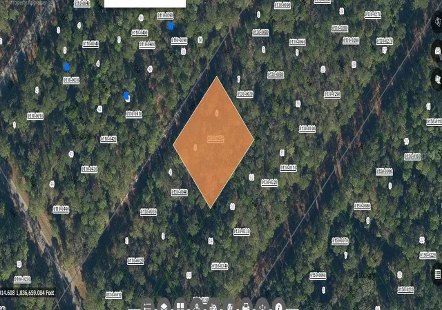 Homes for sale in Georgetown, FL | 209 Se Paradise Lakes, Georgetown, FL 32139 | MLS# O6231635