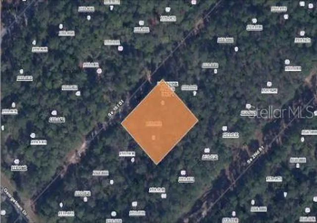 Homes for sale in Georgetown, FL | 209 Se Paradise Lakes, Georgetown, FL 32139 | MLS# O6231635
