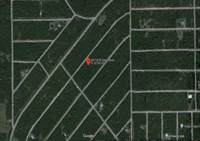 Homes for sale in Georgetown, FL | 209 Se Paradise Lakes, Georgetown, FL 32139 | MLS# O6231635
