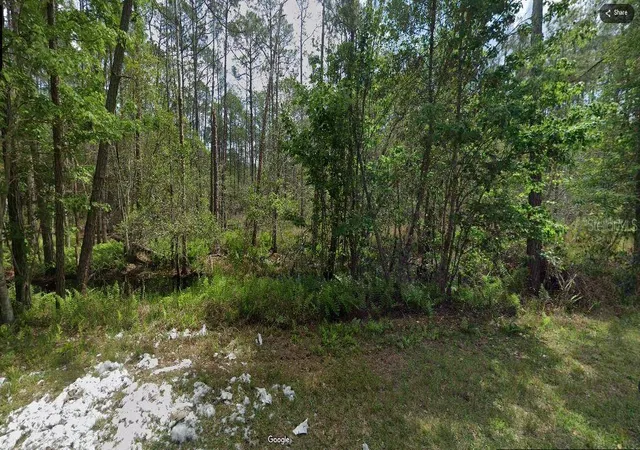 Homes for sale in Georgetown, FL | 209 Se Paradise Lakes, Georgetown, FL 32139 | MLS# O6231635
