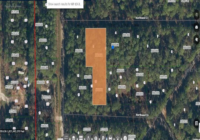 Homes for sale in Georgetown, FL | 103 Northeast Ct, Georgetown, FL 32139 | MLS# O6231636