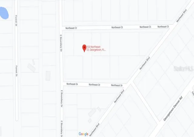 Homes for sale in Georgetown, FL | 103 Northeast Ct, Georgetown, FL 32139 | MLS# O6231636