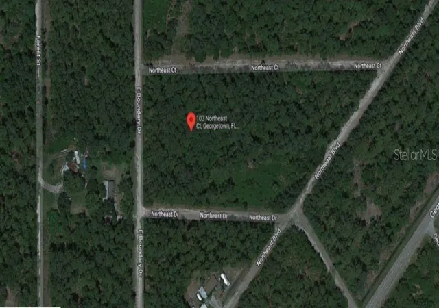 Homes for sale in Georgetown, FL | 103 Northeast Ct, Georgetown, FL 32139 | MLS# O6231636