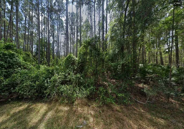 Homes for sale in Georgetown, FL | 103 Northeast Ct, Georgetown, FL 32139 | MLS# O6231636