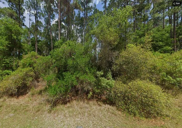 Homes for sale in Georgetown, FL | Shirley Cir,, Georgetown, FL 32139 | MLS# O6231637