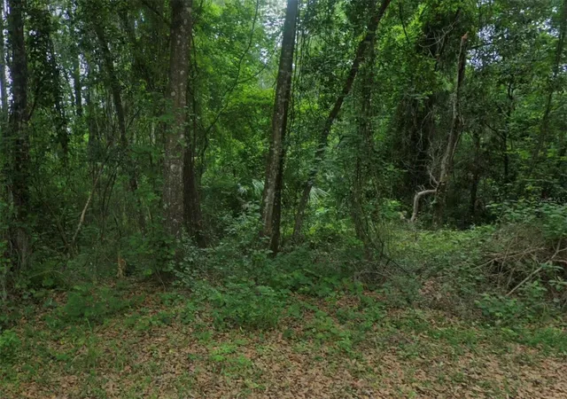 Photo 3 of Land for sale at 102 Ridgeline Ave, Satsuma, FL 32189 | MLS# O6233475 | Listing updated on 2026-07-23