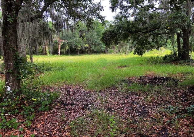 Photo 1 of Land for sale at Lightfoot Rd, Wimauma, FL 33598 | MLS# T3550764 | Listing updated on 2026-09-30