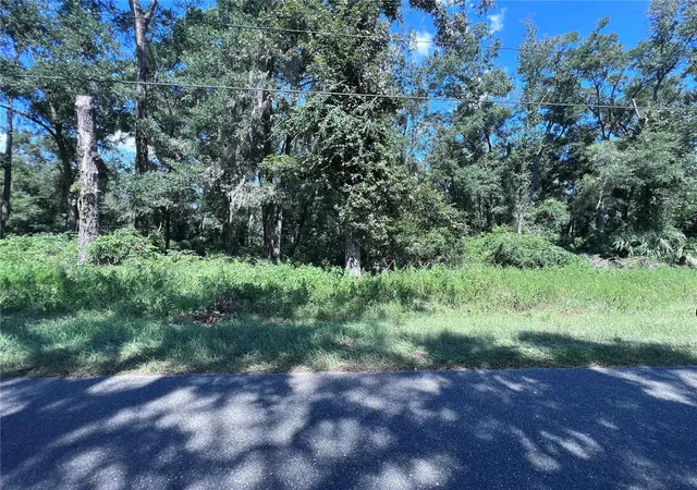 Homes for sale in Fanning Springs, FL | 00 Nw 90th Ct, Fanning Springs, FL 32693 | MLS# W7867802