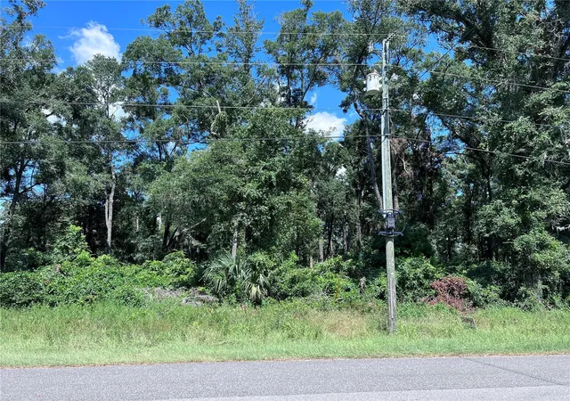 Homes for sale in Fanning Springs, FL | 00 Nw 90th Ct, Fanning Springs, FL 32693 | MLS# W7867802