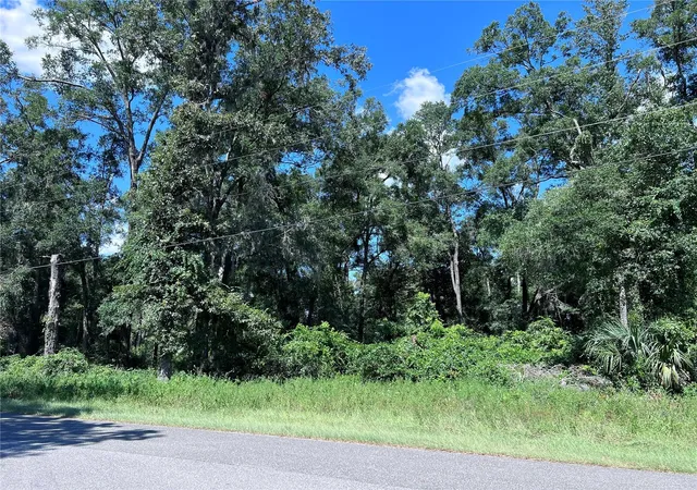 Homes for sale in Fanning Springs, FL | 00 Nw 90Th Ct, Fanning Springs, FL 32693 | MLS# W7867802
