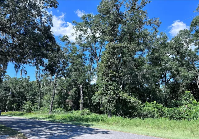 Homes for sale in Fanning Springs, FL | 00 Nw 90Th Ct, Fanning Springs, FL 32693 | MLS# W7867802