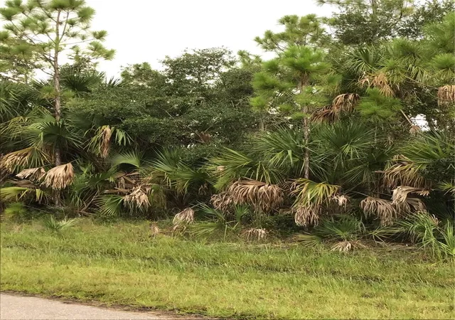 Photo 1 of Land for sale at 14202 Hydrangea Ave, Port Charlotte, FL 33953 | MLS# N6134310 | Listing updated on 2026-08-27