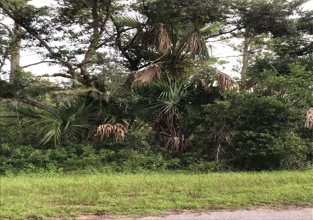Photo 8 of Land for sale at 14202 Hydrangea Ave, Port Charlotte, FL 33953 | MLS# N6134310 | Listing updated on 2026-08-27