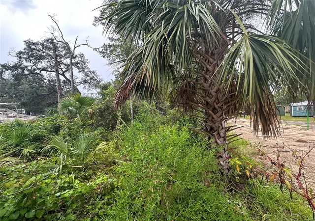 Homes for sale in Steinhatchee, FL | 9 7Th St Ne, Steinhatchee, FL 32359 | MLS# GC524756