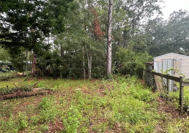 Homes for sale in Steinhatchee, FL | 9 7Th St Ne, Steinhatchee, FL 32359 | MLS# GC524756