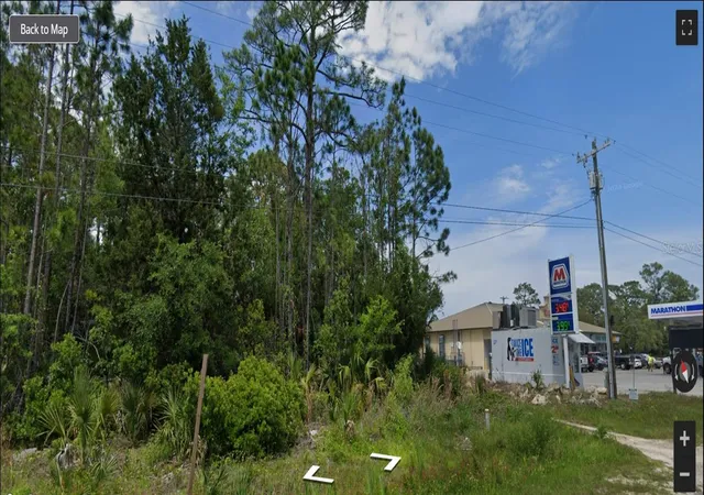 Homes for sale in Steinhatchee, FL | 805 1St Ave Se, Steinhatchee, FL 32359 | MLS# GC524757