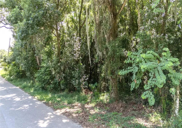 Photo 3 of Land for sale at 3rd Street, Leesburg, FL 34748 | MLS# G5086606 | Listing updated on 2026-06-26