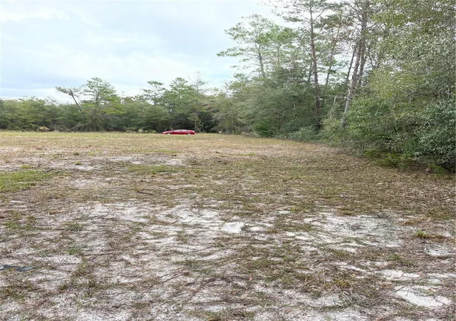 Photo 2 of Land for sale at 00 Ne 108th Court, Bronson, FL 32621 | MLS# G5086673 | Listing updated on 2026-08-18