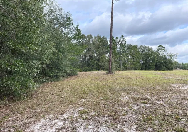 Photo 5 of Land for sale at 00 NE 108th Court, Bronson, FL 32621 | MLS# G5086673 | Listing updated on 2026-08-18