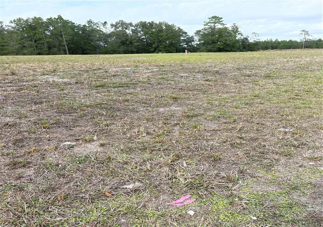Photo 8 of Land for sale at 00 Ne 108th Court, Bronson, FL 32621 | MLS# G5086673 | Listing updated on 2026-08-18