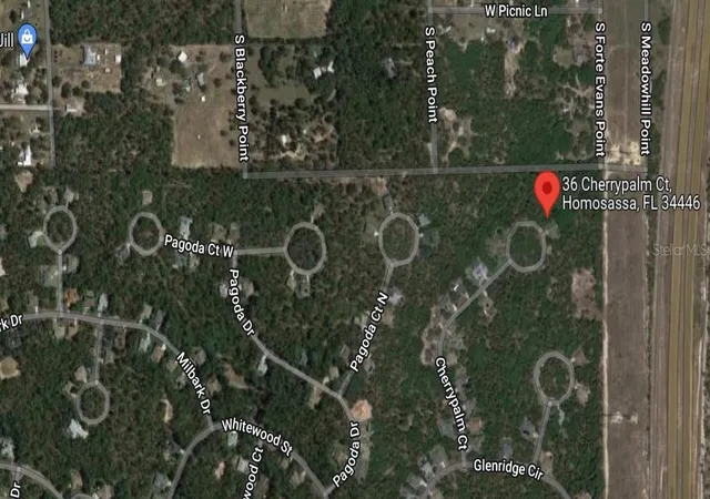 5th image of 36 Cherrypalm Ct, Homosassa, FL 34446 | MLS# O6238568