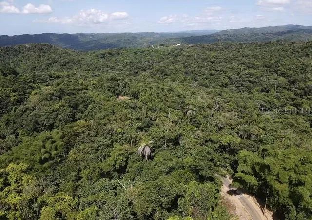 Homes for sale in Utuado, PR | Rd Pr-140 Km 342 Barrio Don Alonso, Utuado, PR 00641 | MLS# PR9108628