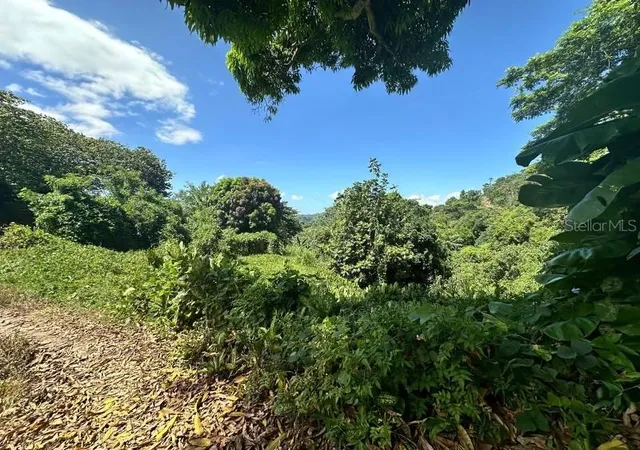Homes for sale in Utuado, PR | Rd Pr-140 Km 342 Barrio Don Alonso, Utuado, PR 00641 | MLS# PR9108628