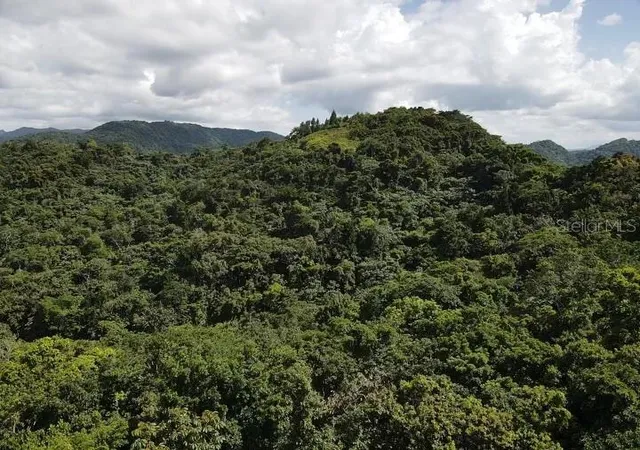 Homes for sale in Utuado, PR | Rd Pr-140 Km 342 Barrio Don Alonso, Utuado, PR 00641 | MLS# PR9108628