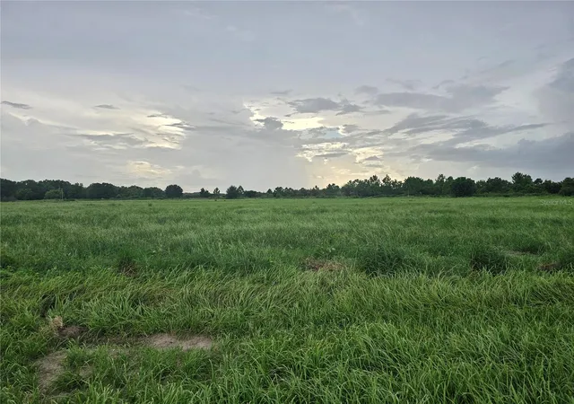 Photo 1 of Land for sale at 837 Campbell Rd, Fort Meade, FL 33841 | MLS# L4947414 | Listing updated on 2026-06-24