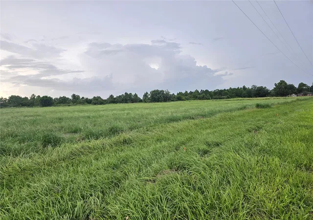 Photo 4 of Land for sale at 837 Campbell Rd, Fort Meade, FL 33841 | MLS# L4947414 | Listing updated on 2026-06-24
