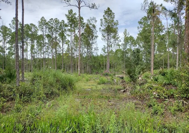 Homes for sale in Bunnell, FL | 5814 Mahogany Blvd, Bunnell, FL 32110 | MLS# FC303710